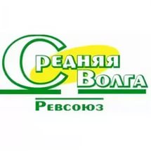 Самарский областной ревизионный союз
